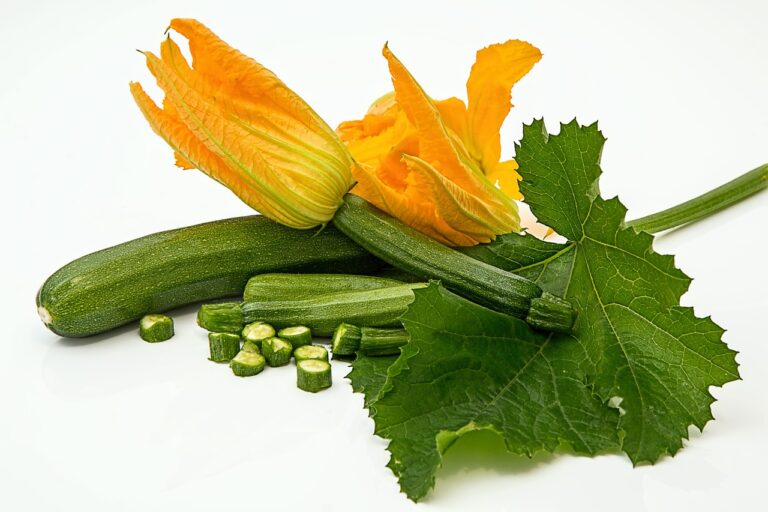 découvrez tout sur la courgette, un légume polyvalent et nutritif. apprenez comment la préparer, ses bienfaits pour la santé et des recettes délicieuses pour l'incorporer dans vos plats quotidiens.