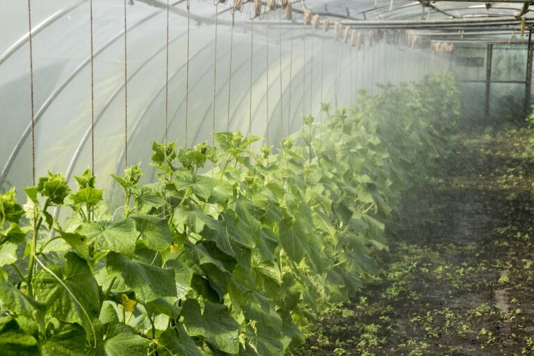 découvrez les principes de la permaculture pour créer un jardin durable et respectueux de l'environnement. apprenez à cultiver en harmonie avec la nature grâce à la permaculture.