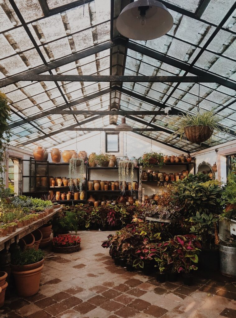 découvrez notre sélection de serres et de solutions pour jardinage dans notre gamme de produits de qualité à prix abordable.