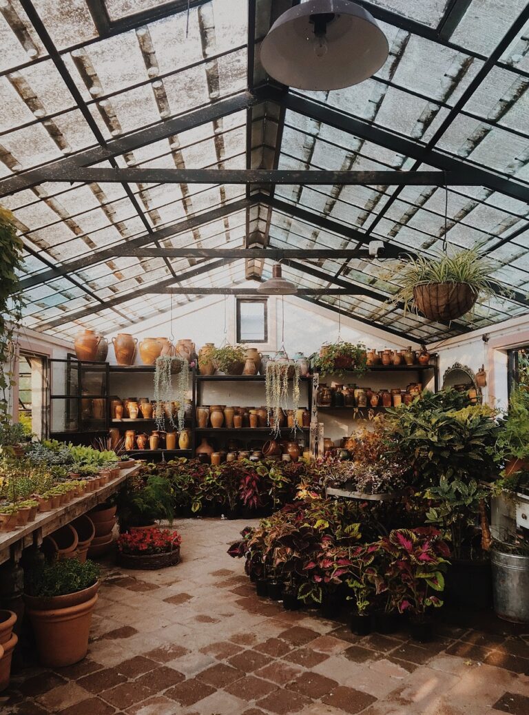 découvrez notre sélection de serres et de solutions pour jardinage dans notre gamme de produits de qualité à prix abordable.