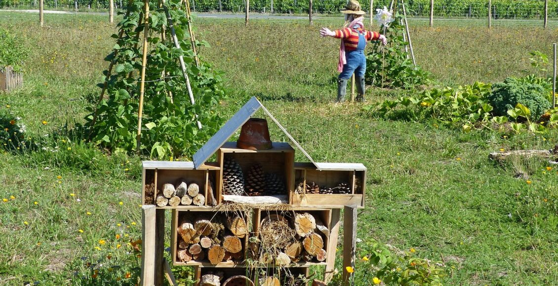 découvrez les principes de la permaculture, une approche durable de l'agriculture basée sur l'éthique, la diversité et l'harmonie avec la nature.