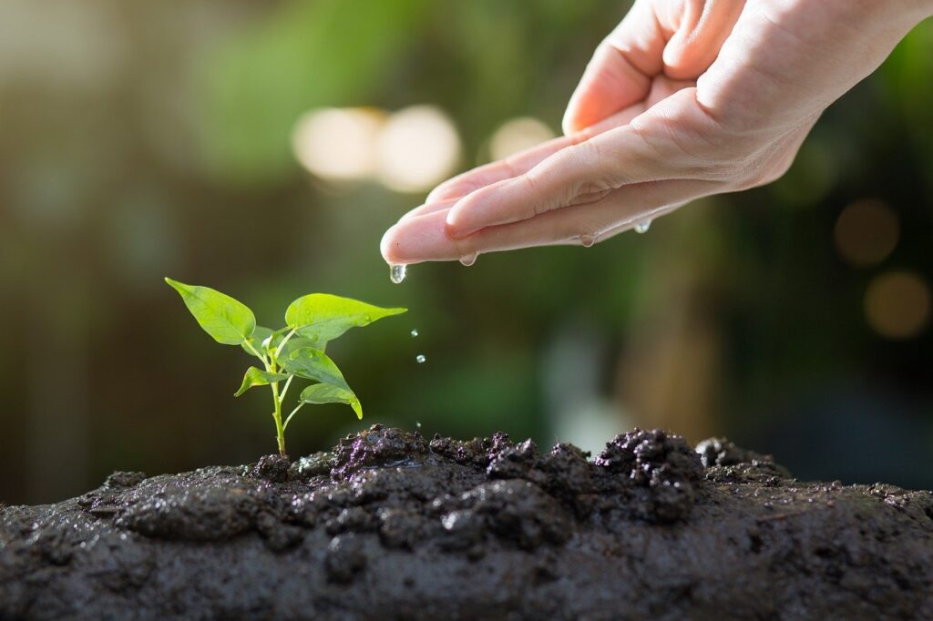 découvrez le cesu gardening, un service facilitant l'entretien de vos espaces verts grâce à des professionnels qualifiés. profitez d'un jardin toujours impeccable tout en bénéficiant d'avantages fiscaux. améliorez votre cadre de vie !