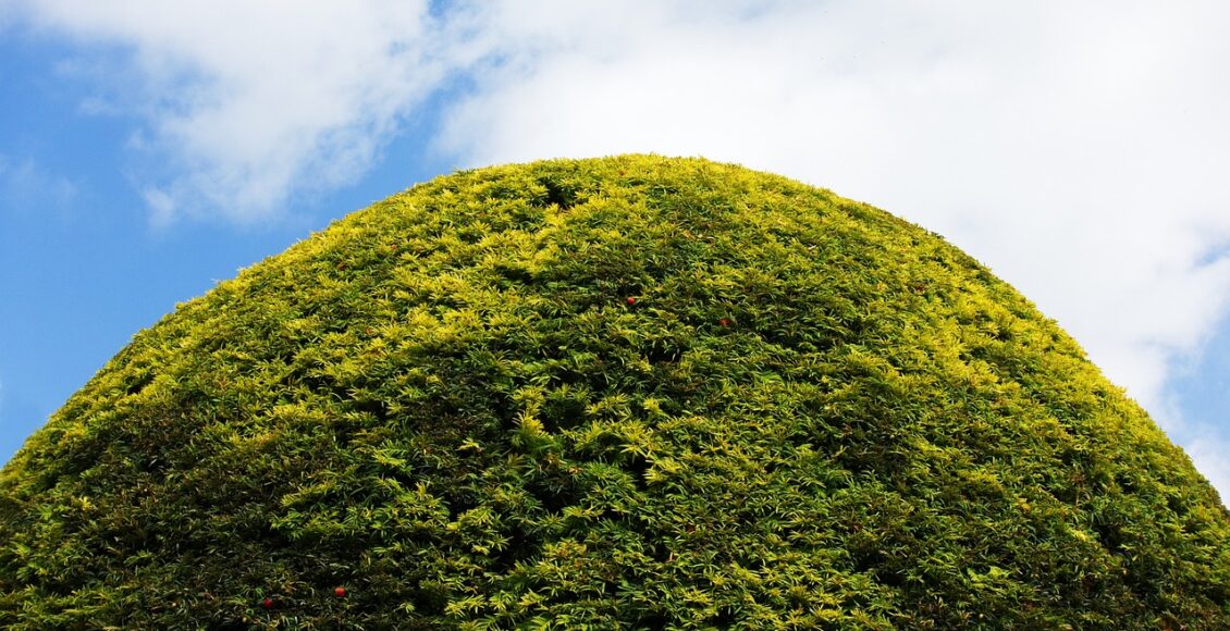 découvrez les avantages de la création d'un monticule de permaculture pour améliorer la fertilité du sol et favoriser la biodiversité dans votre jardin.
