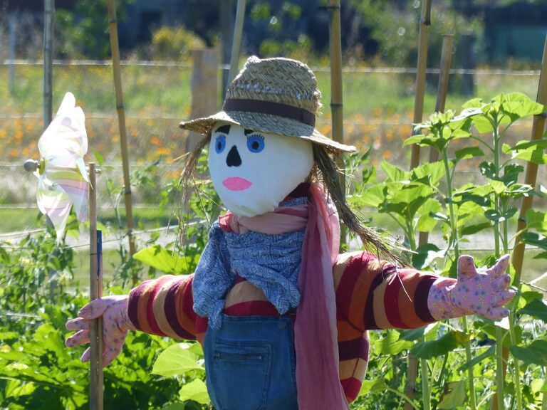 découvrez les principes de la permaculture, une méthode de culture durable qui respecte l'environnement et favorise la biodiversité. apprenez à créer un écosystème productif, tout en minimisant l'impact écologique et en maximisant l'autonomie alimentaire.