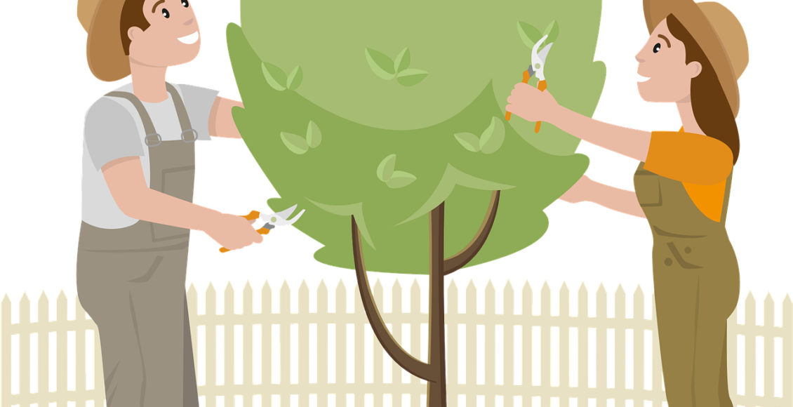 découvrez l'art du jardinage avec nos conseils pratiques, astuces de professionnels et techniques innovantes pour cultiver un jardin florissant. que vous soyez débutant ou jardinier expérimenté, trouvez l'inspiration pour donner vie à vos espaces verts.