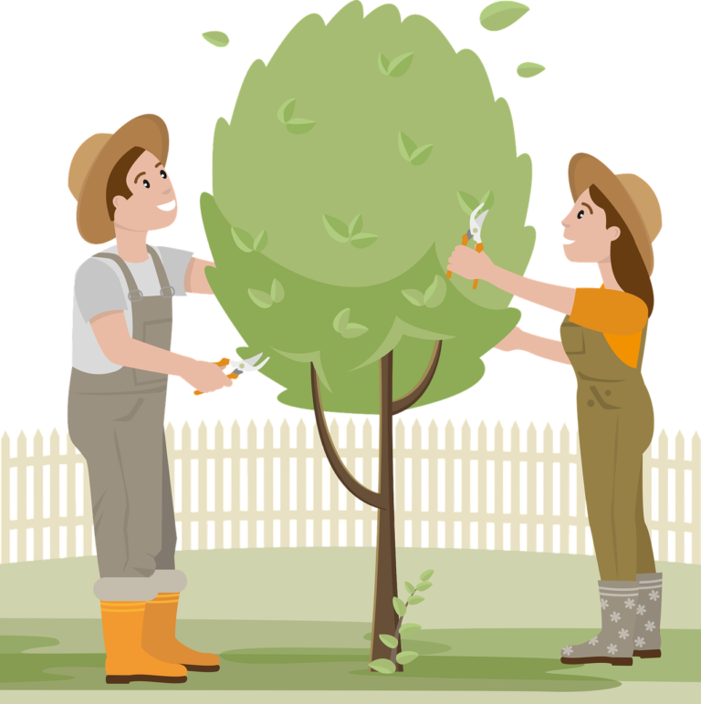 découvrez l'art du jardinage avec nos conseils pratiques, astuces de professionnels et techniques innovantes pour cultiver un jardin florissant. que vous soyez débutant ou jardinier expérimenté, trouvez l'inspiration pour donner vie à vos espaces verts.