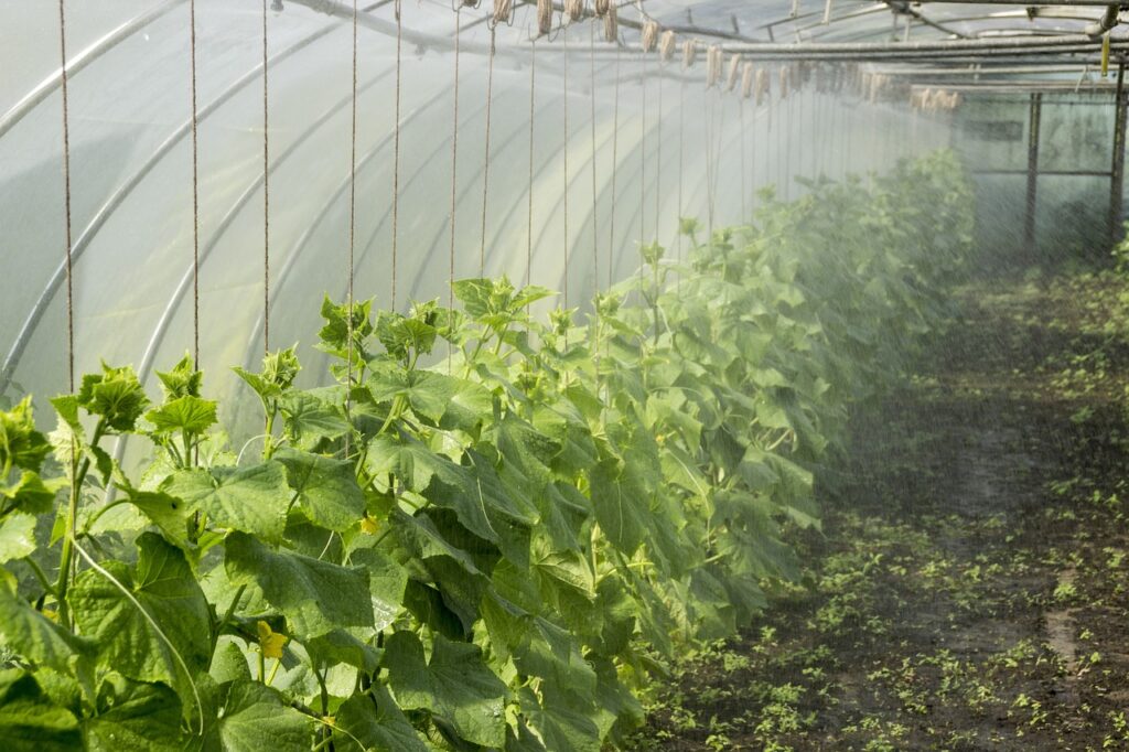 découvrez la permaculture, une méthode de culture durable qui harmonise l'agriculture avec la nature. apprenez à créer des écosystèmes productifs et résilients pour cultiver des aliments écologiques et vivre en accord avec l'environnement.