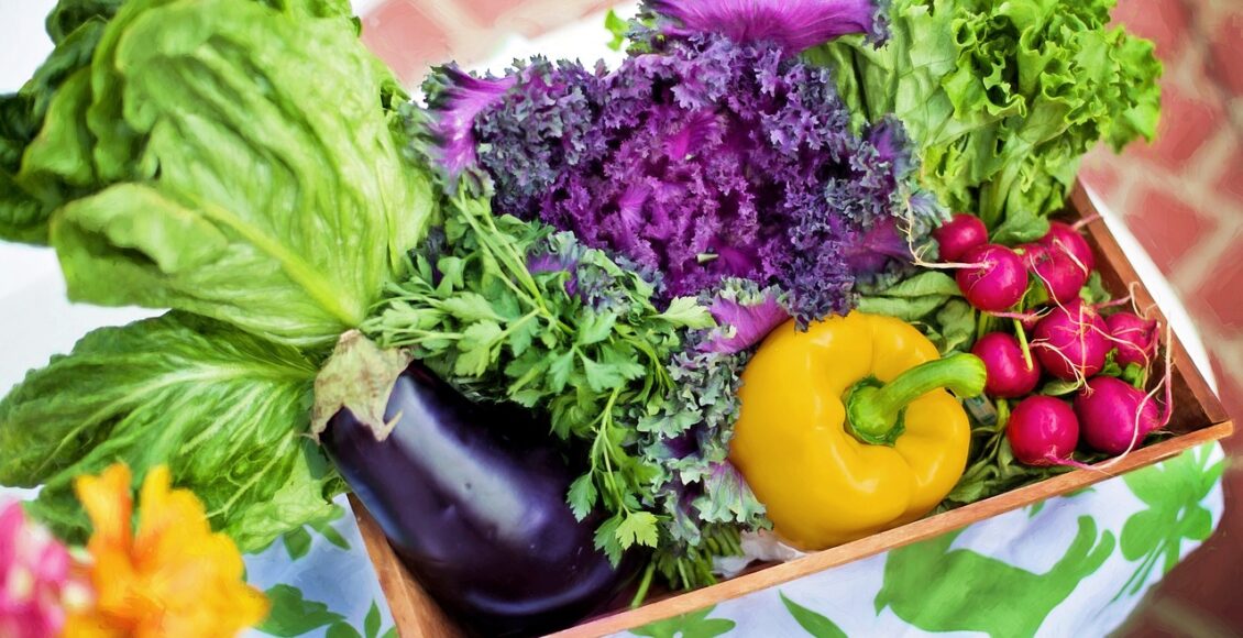 découvrez l'art du jardinage avec nos conseils pratiques, astuces et techniques pour cultiver un jardin florissant. que vous soyez débutant ou expert, trouvez l'inspiration pour aménager votre espace extérieur et profiter des joies du jardin.