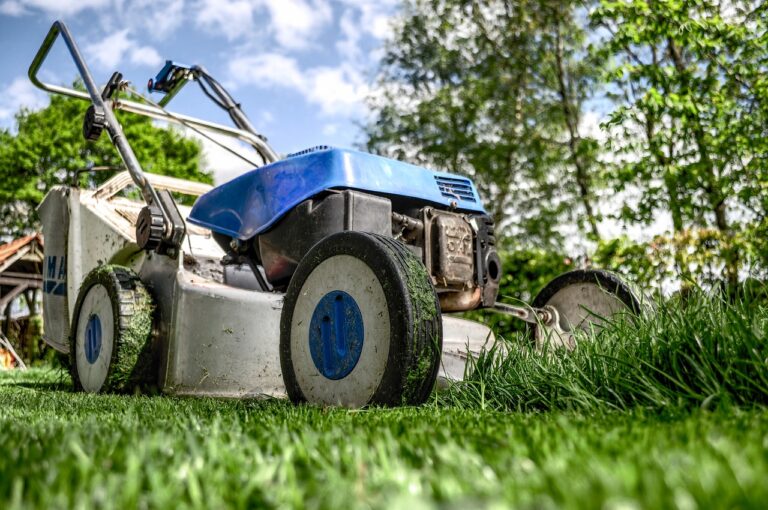 découvrez les avantages du corporate gardening, une tendance qui transforme les espaces de travail en oasis verdoyantes. améliorez le bien-être de vos employés tout en renforçant l'image de votre entreprise grâce à des pratiques de jardinage collaboratif.