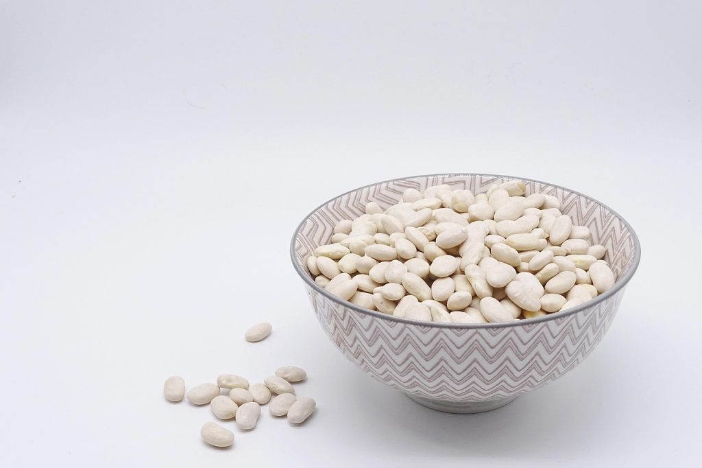 découvrez tout sur les haricots : variétés, bienfaits nutritionnels, recettes savoureuses et conseils pour les cultiver chez vous. un guide complet pour les amateurs de legumes.