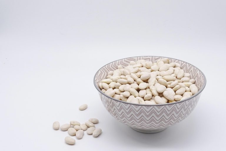 découvrez tout sur les haricots : variétés, bienfaits nutritionnels, recettes savoureuses et conseils pour les cultiver chez vous. un guide complet pour les amateurs de legumes.