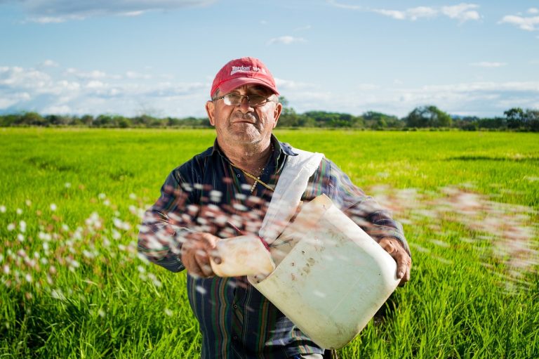 découvrez les avantages du semis direct, une méthode de culture respectueuse de l'environnement qui améliore la qualité du sol et optimise les rendements des récoltes. apprenez les techniques essentielles pour réussir votre semis direct et contribuer à une agriculture durable.