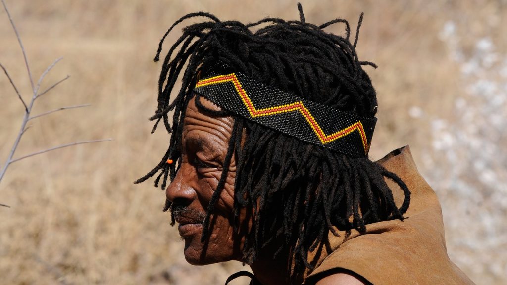 découvrez les alternatives autochtones qui favorisent la durabilité et le respect des traditions ancestrales. explorez des solutions innovantes proposées par les communautés indigènes pour préserver l'environnement et promouvoir un mode de vie en harmonie avec la nature.