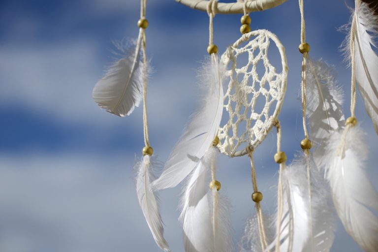 découvrez l'importance et les avantages des plantes natives dans votre jardin. apprenez à les identifier, à les cultiver et à favoriser la biodiversité tout en créant un écosystème durable.