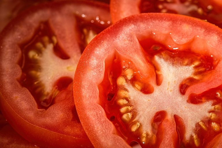 découvrez nos tomates biologiques, cultivées sans pesticides ni engrais chimiques. savourez le goût authentique et frais de la nature, tout en bénéficiant des bienfaits nutritionnels de ces légumes sains et savoureux. idéales pour vos salades, sauces et plats cuisinés.