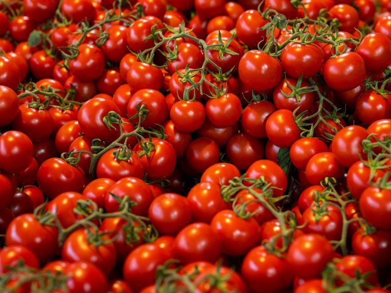 découvrez tout sur les tomates : variétés, saveurs, bienfaits nutritionnels, recettes et conseils de culture. plongez dans l'univers savoureux de ce fruit incontournable de la cuisine française.
